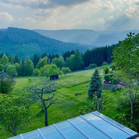 Ferienhaus Mit 5* Luxus Im Schwarzwald Gemeinde Gemeinde Aichhalden Eksteriør bilde