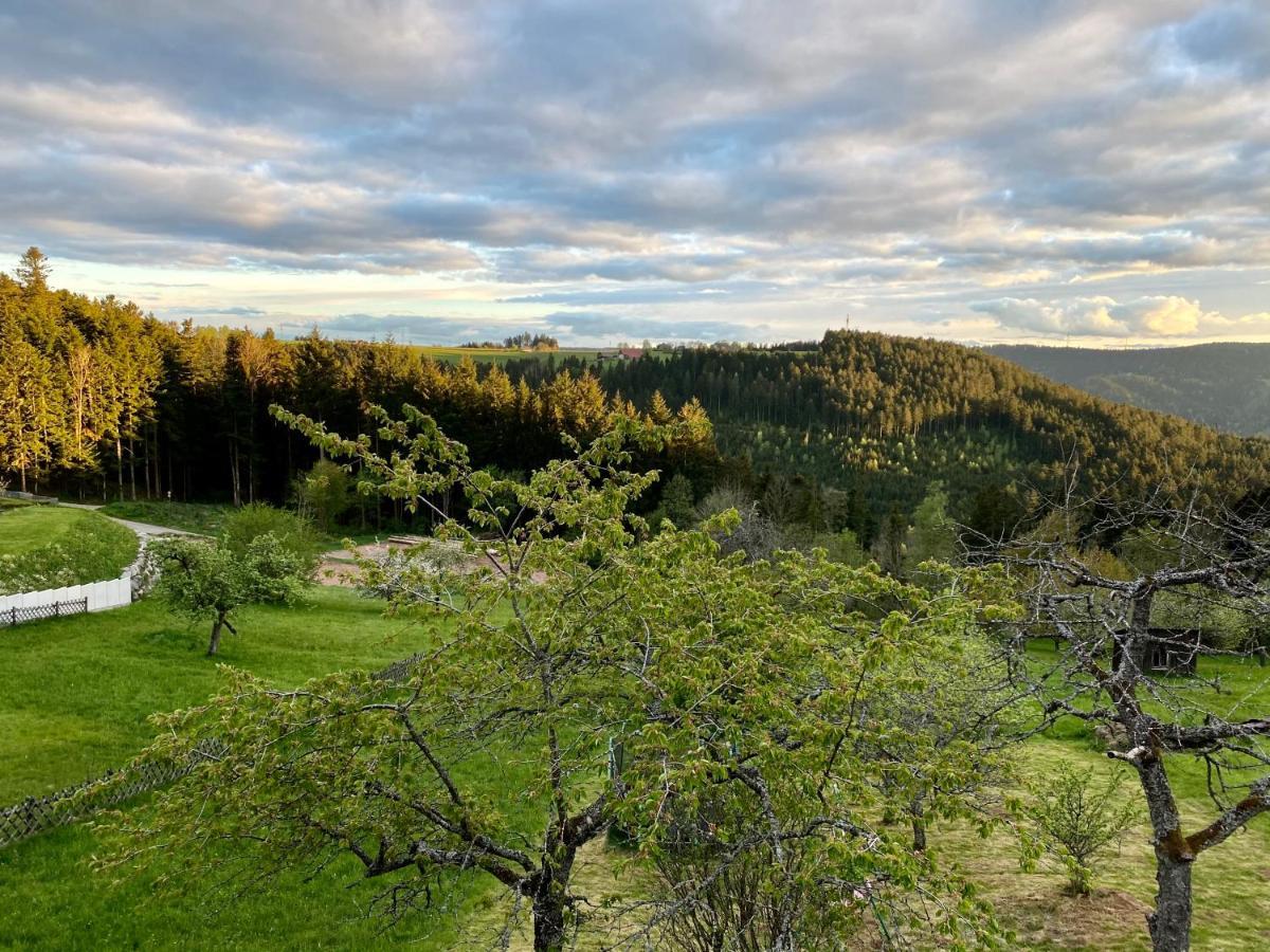 Ferienhaus Mit 5* Luxus Im Schwarzwald Gemeinde Gemeinde Aichhalden Eksteriør bilde